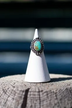 Raegan Hough Metalsmith Polar Bead Ring